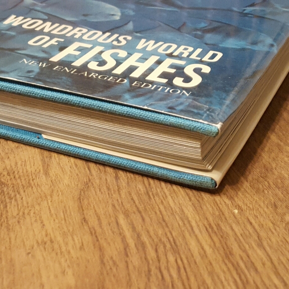 *SOLD* WONDROUS WORLD OF FISHES 1969 NEW ENLARGED - Picture 4 of 14